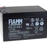 Batterie 12V 12AH Roger