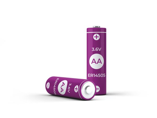 ER14505 – Piles 3,6V (2 unités)