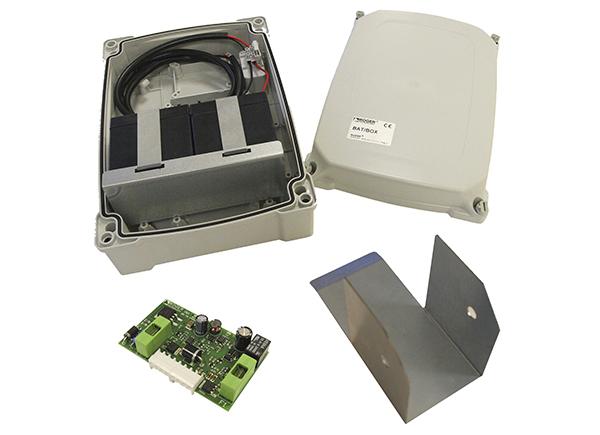 Kit batteries avec chargeur Brushless 36V